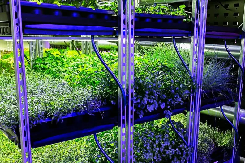 Vertical farming system with various plant growth.